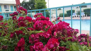 Blick auf den Innenhof