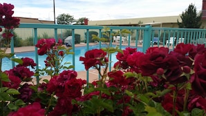 A swimming pool surrounded by a turquoise fence, with red flowers in the foreground. - Days Inn by Wyndham Santa Fe New Mexico (Santa Fe)