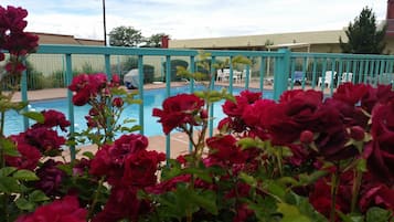 Seasonal outdoor pool, open 8:00 AM to 9:00 PM, pool loungers