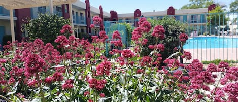 Vue sur le jardin