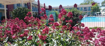 Days Inn by Wyndham Santa Fe New Mexico