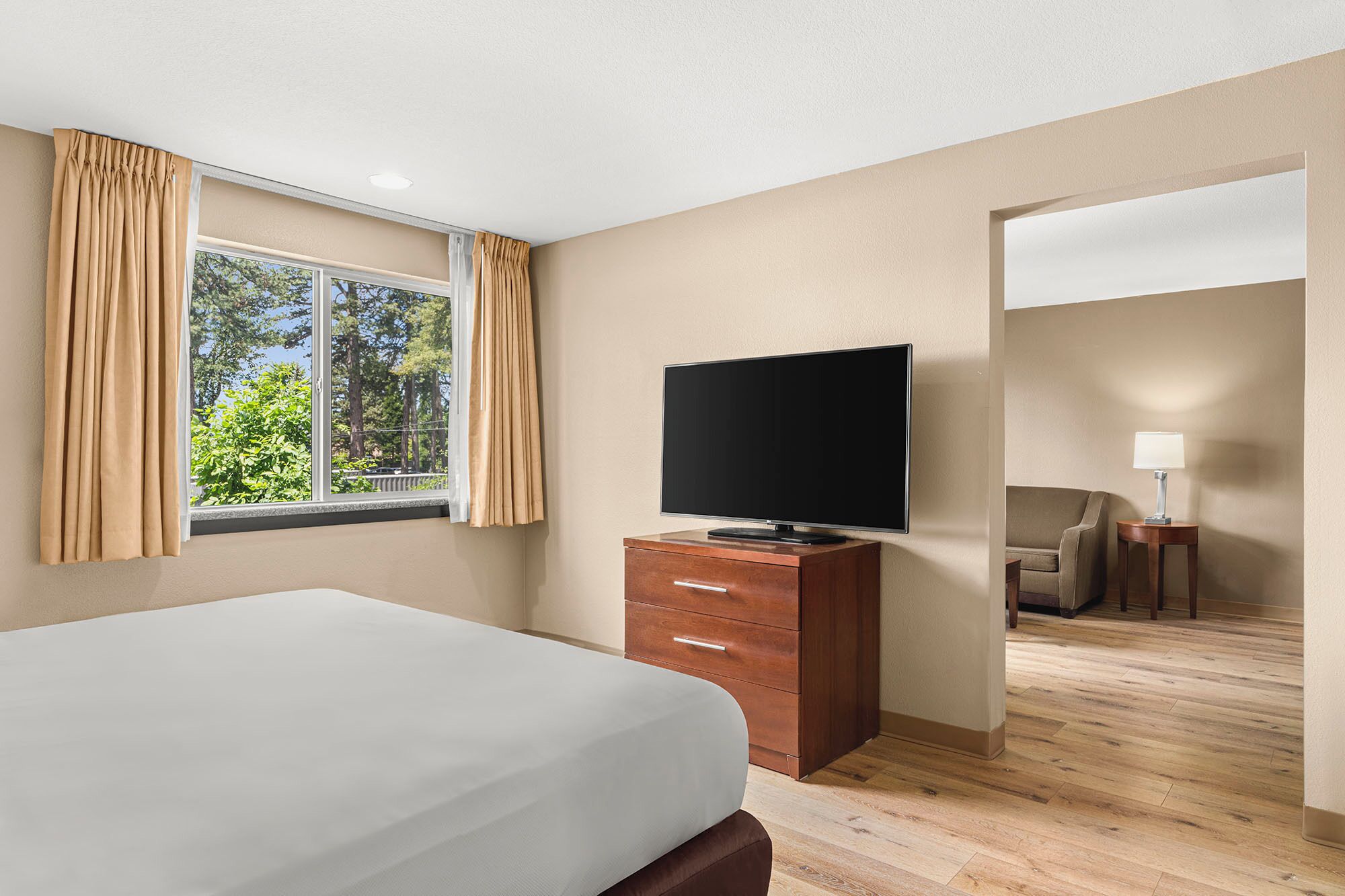 A hotel room with a bed, a TV on a wooden cabinet, a chair, a lamp, and a view of trees through the window.