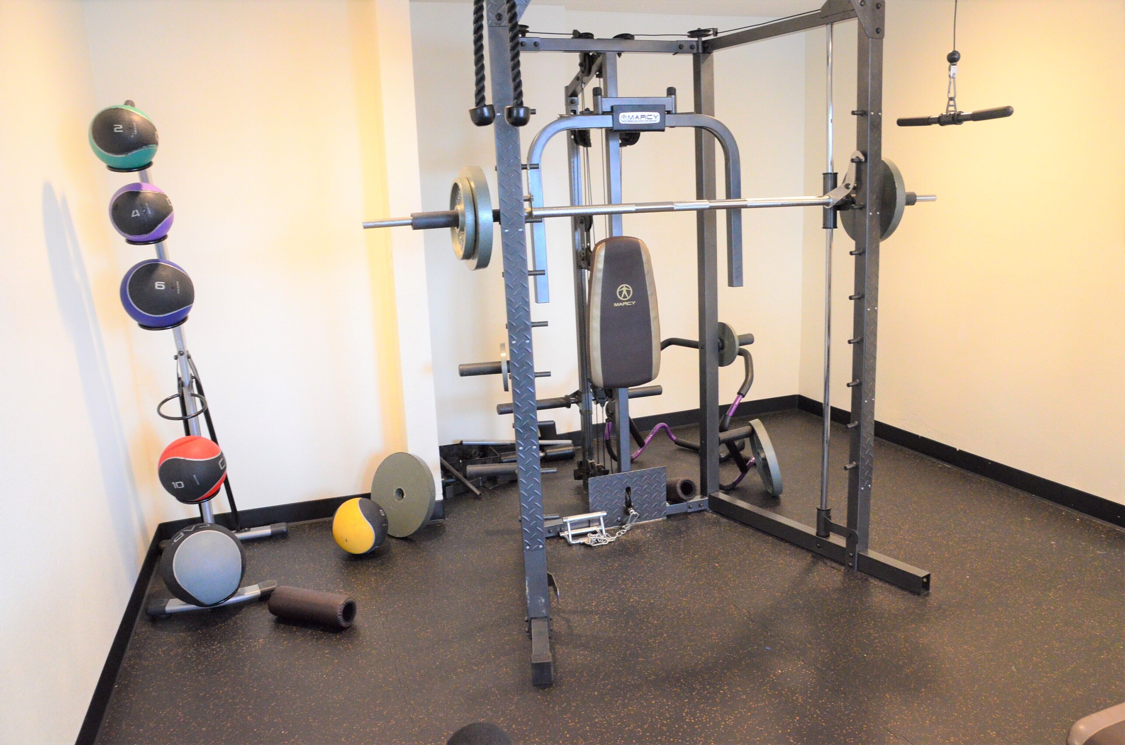 A gym with a squat rack, barbell, weight plates, and various exercise balls.