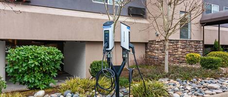 A parking area with electric vehicle charging stations, a stone wall, and a landscaped garden with rocks and shrubs.
