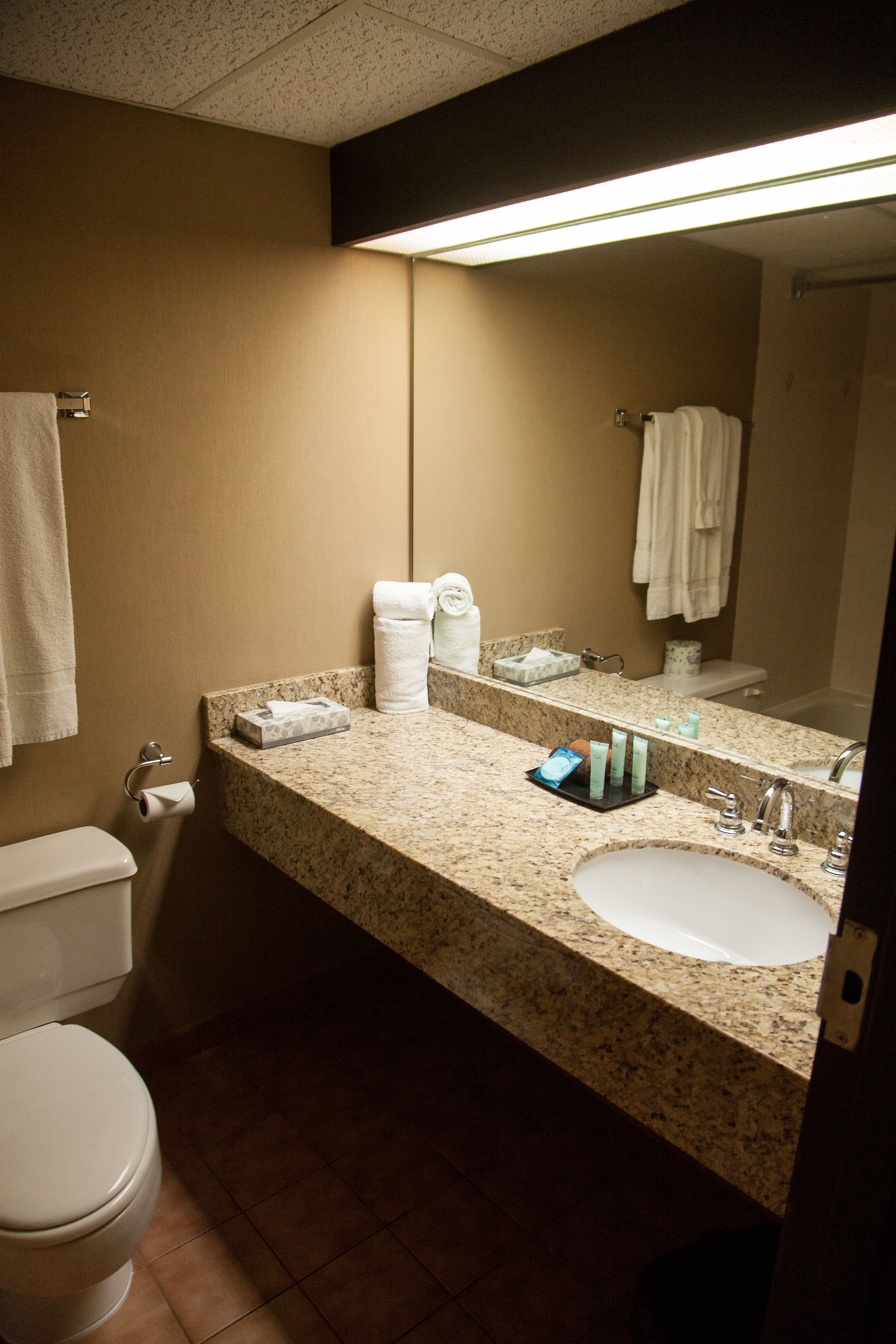 A hotel bathroom with a granite countertop, a sink, a toilet, and a mirror.