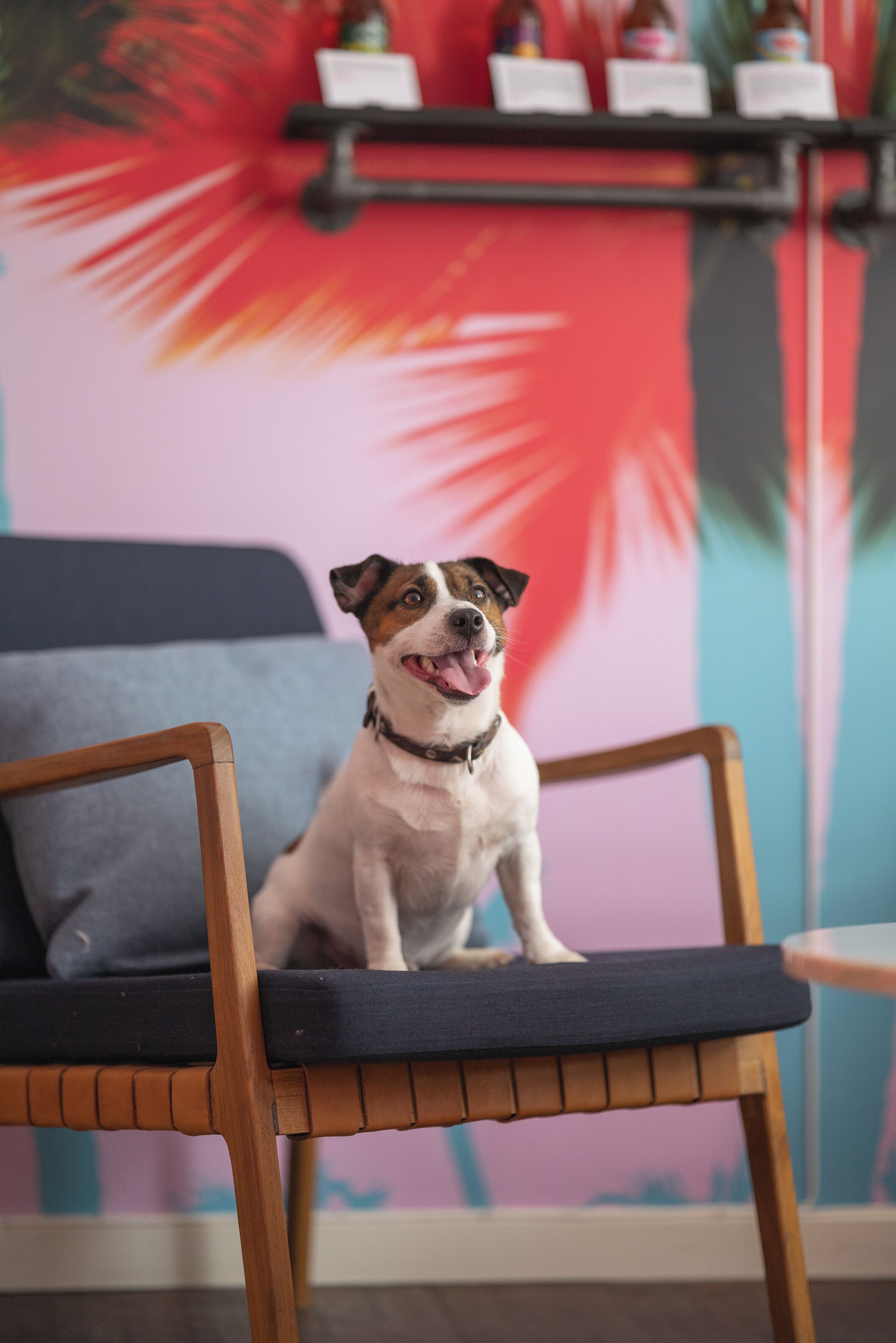 Photo - Hotel Mayfair