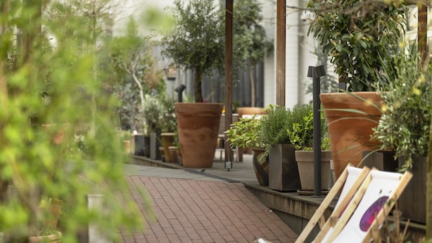 A brick-paved outdoor area with a wooden bench, large terracotta planters, and potted plants. - Hotel Mayfair (Copenhagen)