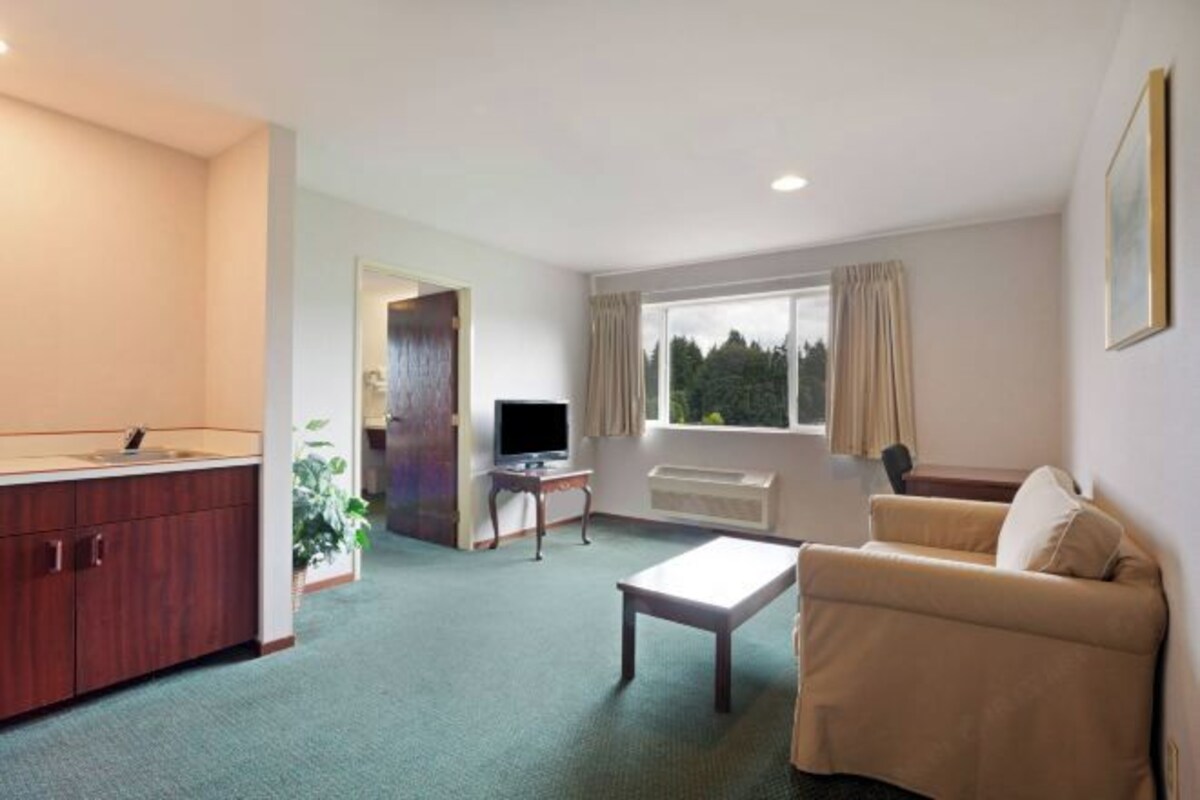 A compact living space with a kitchenette, a sofa, a TV, and a window with curtains.