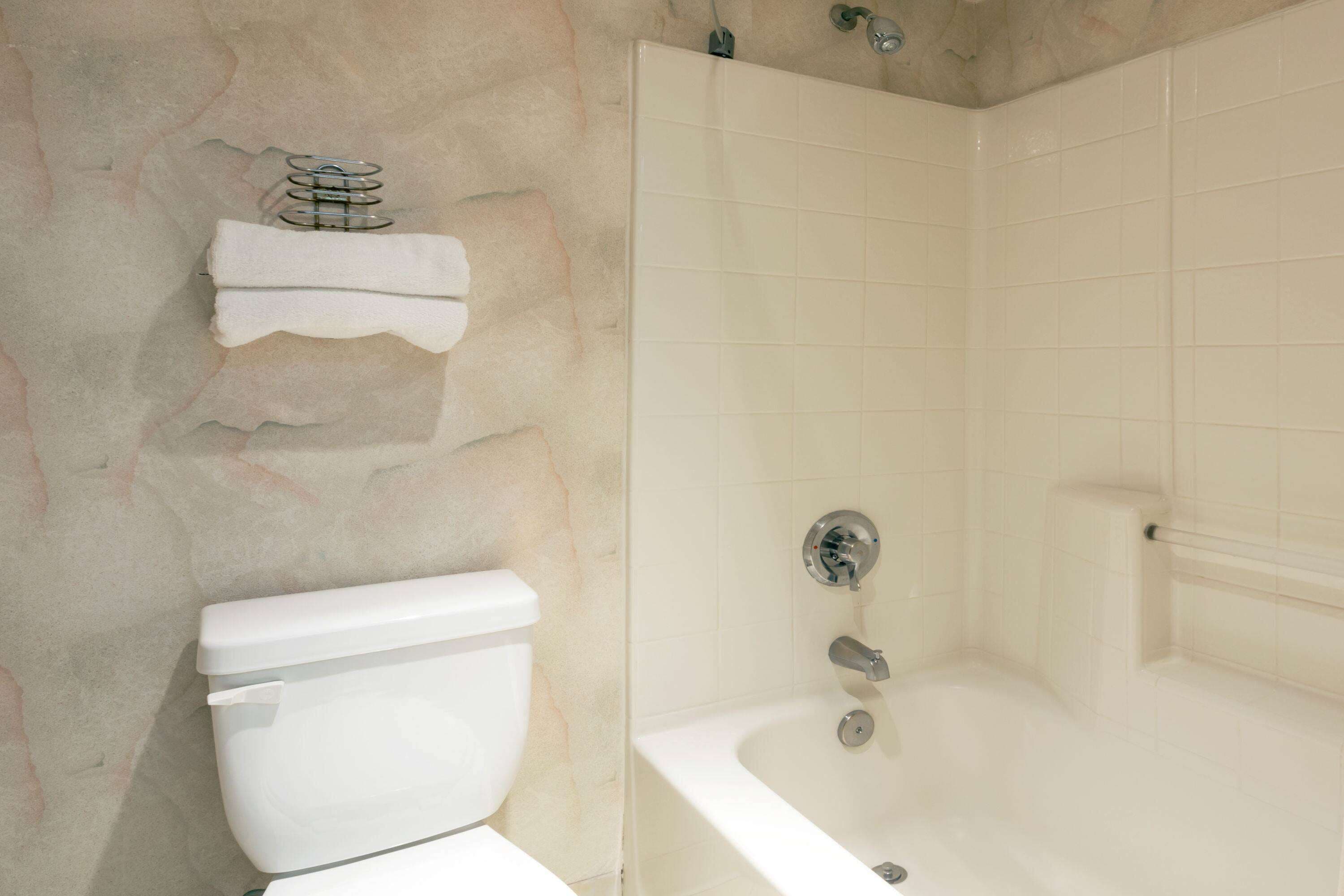 Ein Badezimmer mit Toilette, Badewanne und Handtuchhalter.