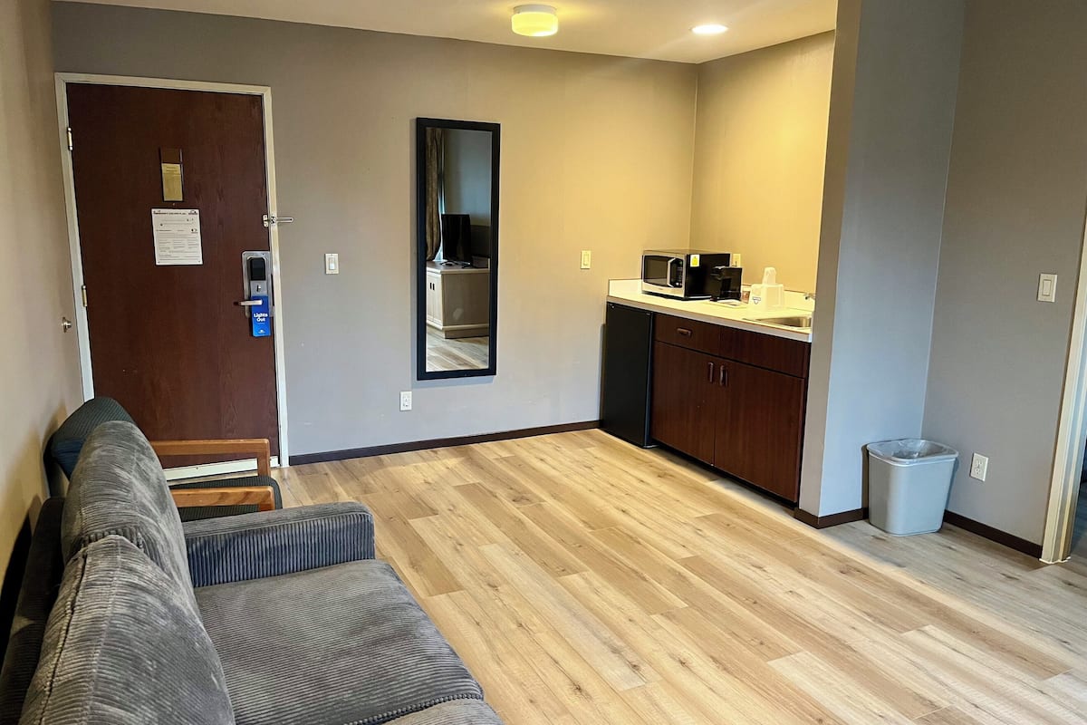 studio suite, 1 king bed, non smoking | living area | tv