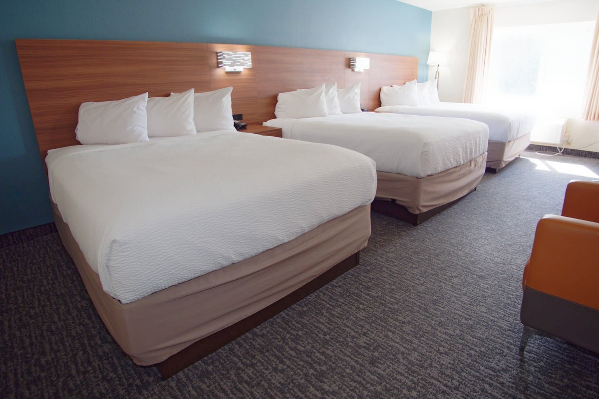 Habitación, varias camas, para no fumadores | Edredón, caja de seguridad en la habitación y muebles diferentes