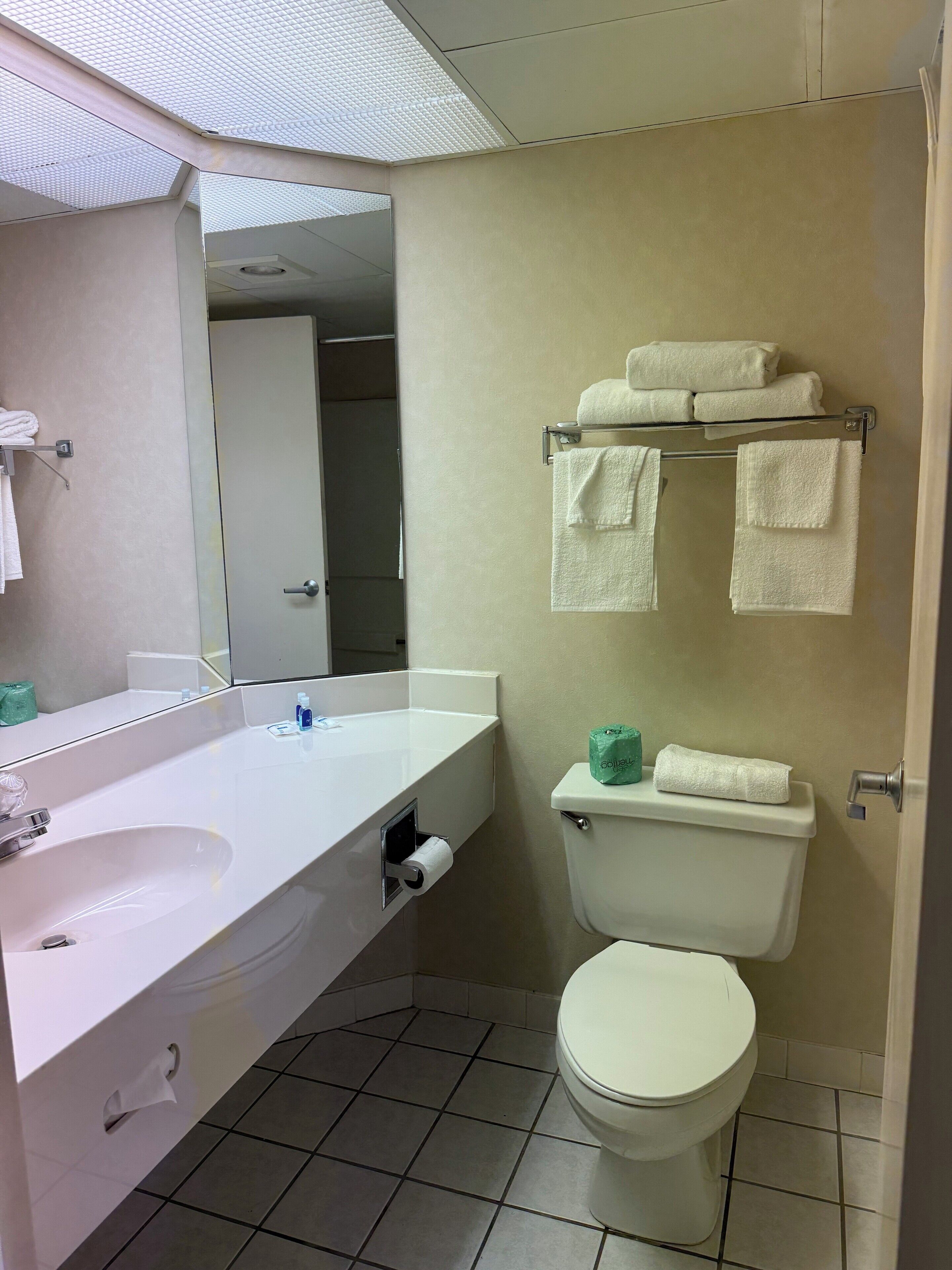 free toiletries, hair dryer, towels