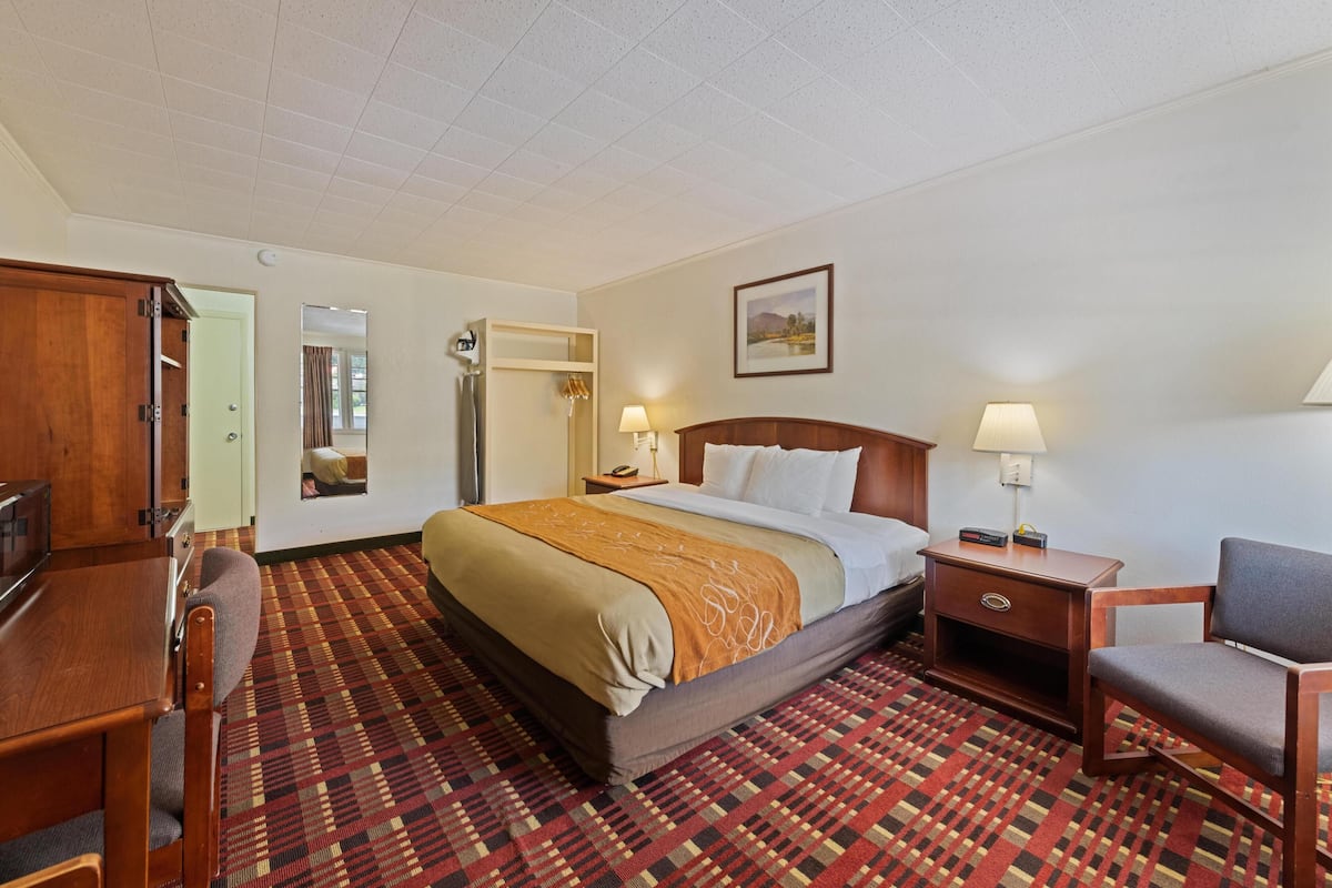 Quarto de hotel com cama, escrivaninha, cadeira, mesa de cabeceira e abajur.