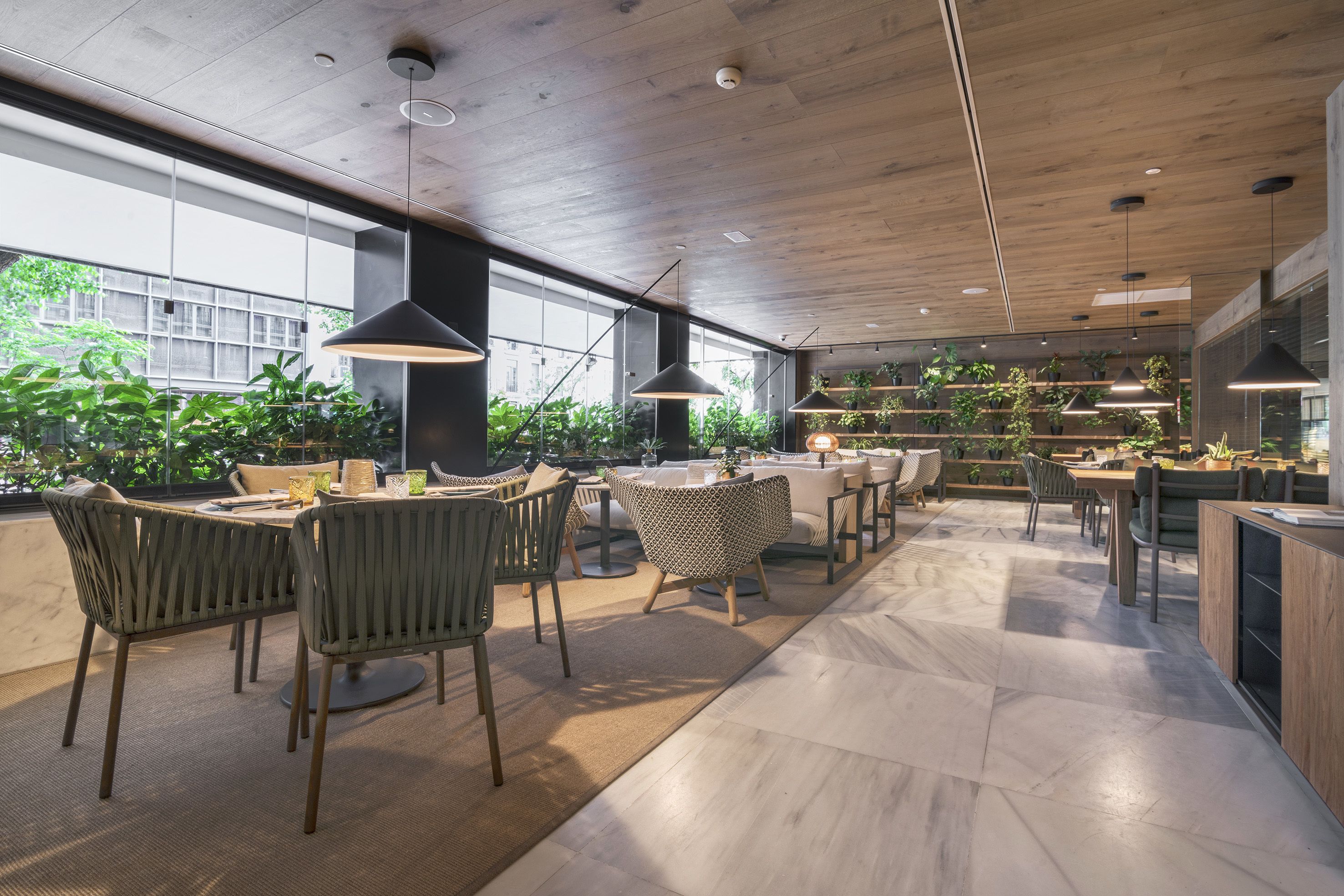 Un interior moderno con techo de madera, ventanas amplias y plantas de interior.