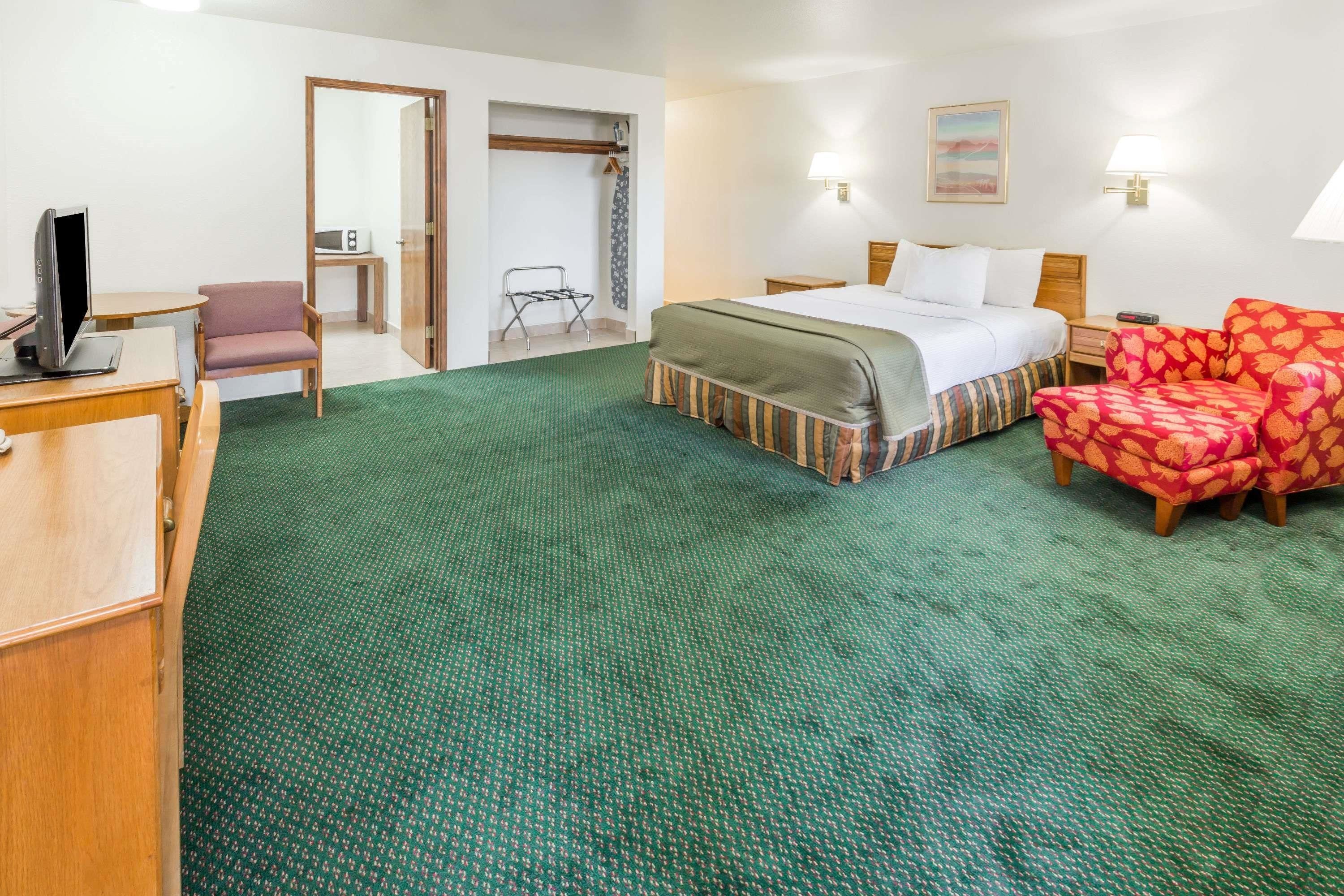 Una habitación de hotel con cama, escritorio, silla, televisor y zona de ducha.