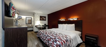 Red Roof Inn Tampa - Brandon