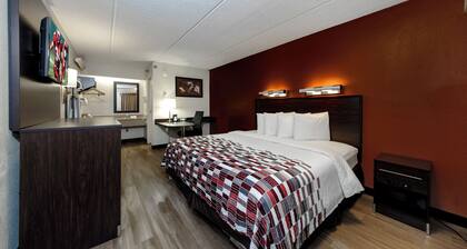 Red Roof Inn Tampa - Brandon