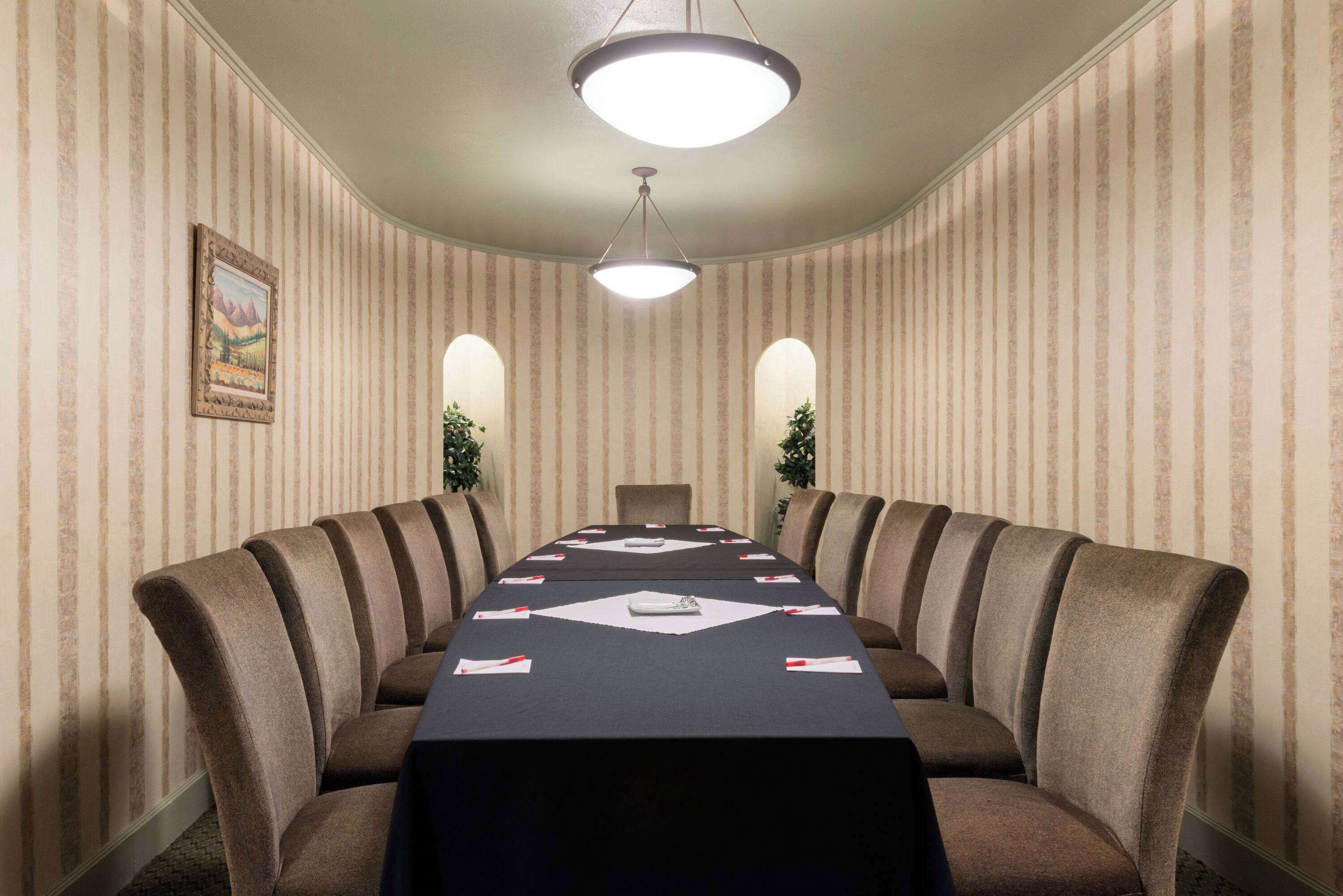 Een vergaderzaal met een lange tafel, stoelen en een plafondlamp.