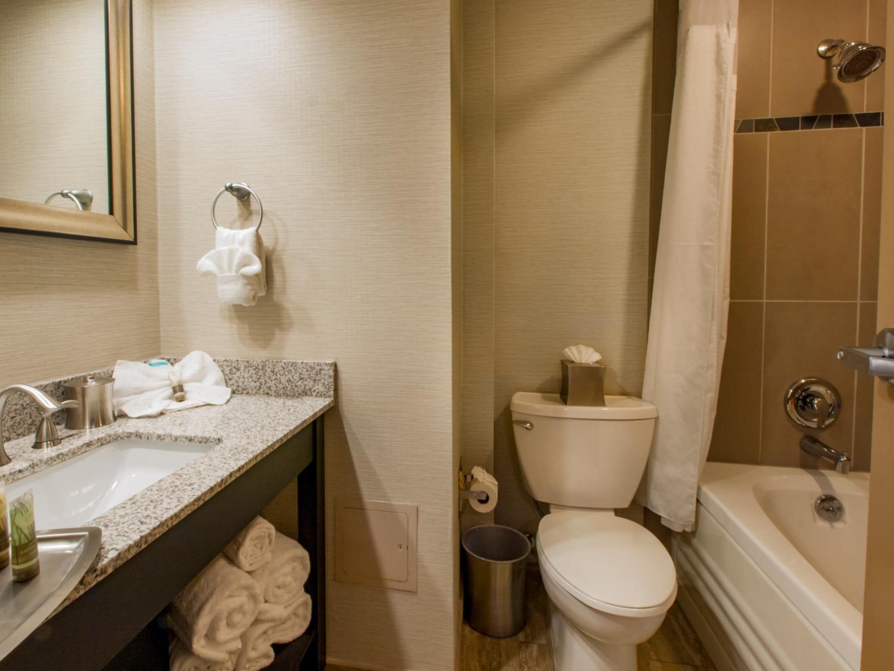 shower, hydromassage showerhead, free toiletries, hair dryer