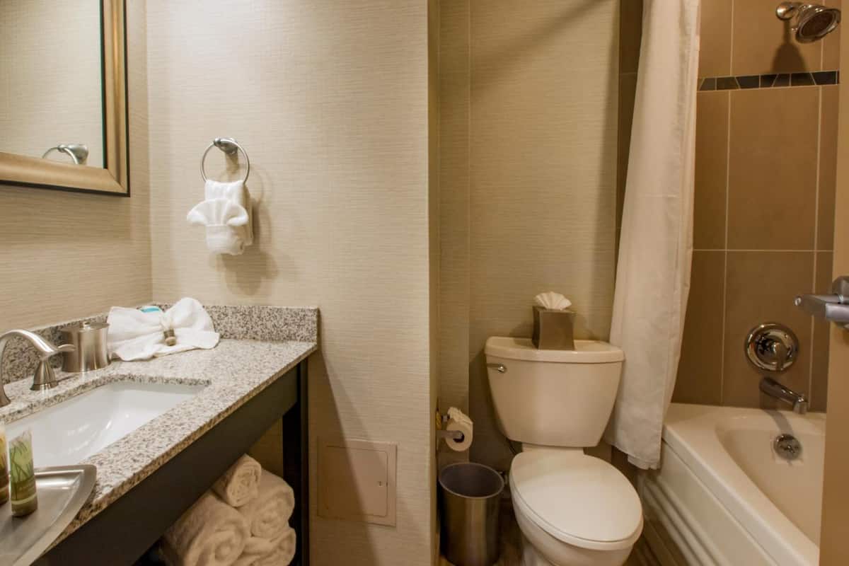 shower, hydromassage showerhead, free toiletries, hair dryer