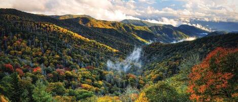 A mountainous landscape with dense forests and a visible valley.