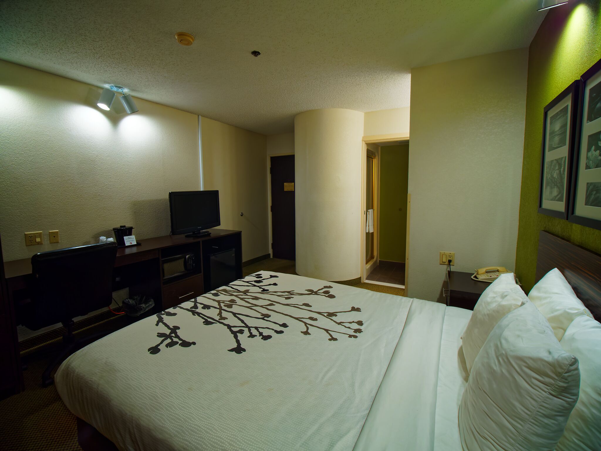 A hotel room with a bed, a television on a desk, a telephone, and a door leading to a bathroom.