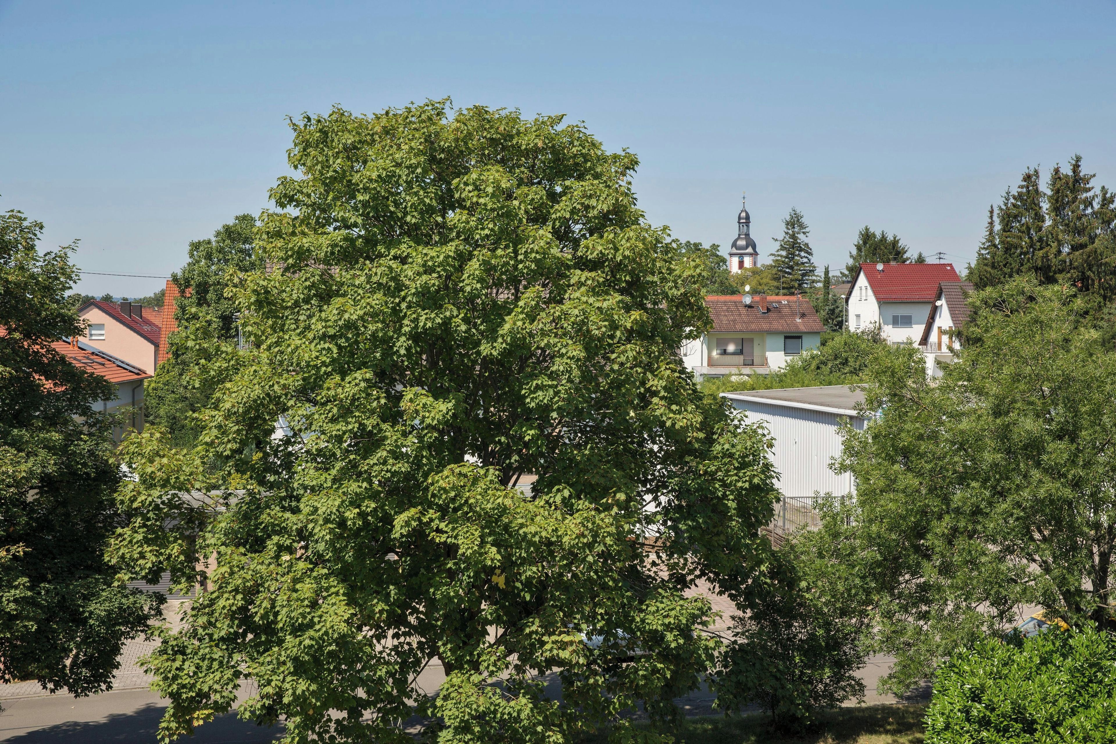 Photo - Courtyard by Marriott Wiesbaden-Nordenstadt