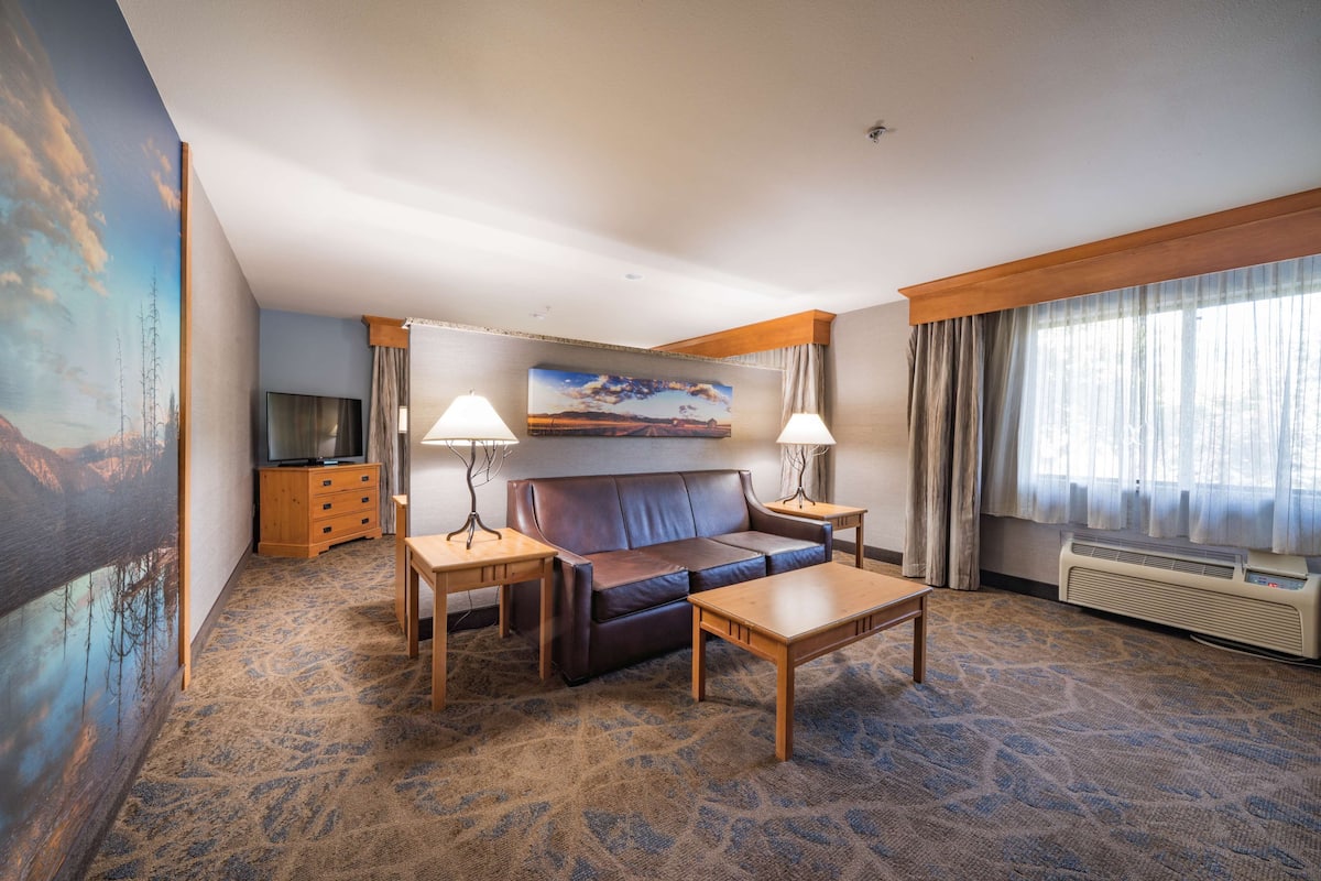 Standardzimmer, 1 King-Bett und Schlafsofa, Nichtraucher (with Sofabed)