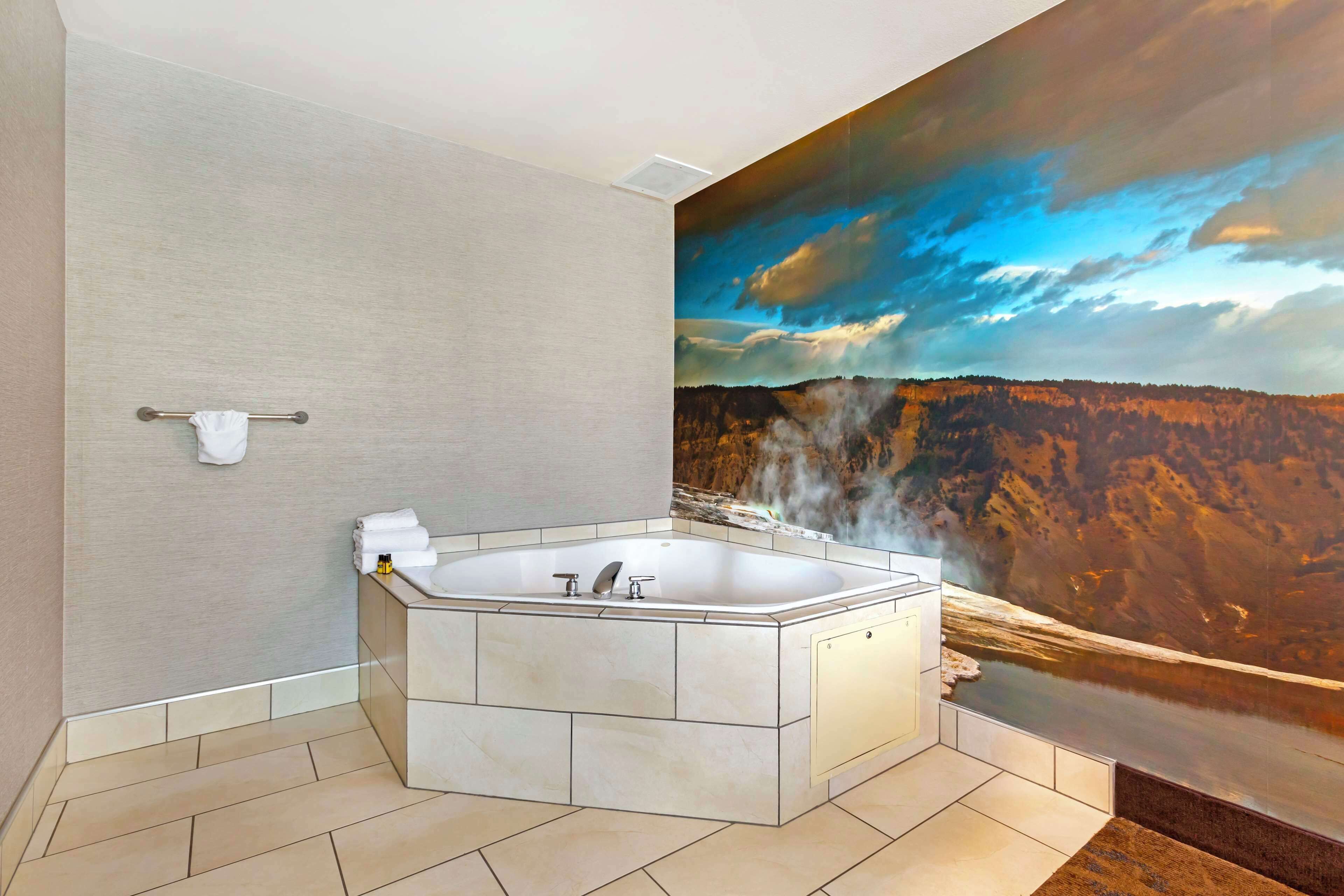 combined shower/bathtub, free toiletries, hair dryer, towels