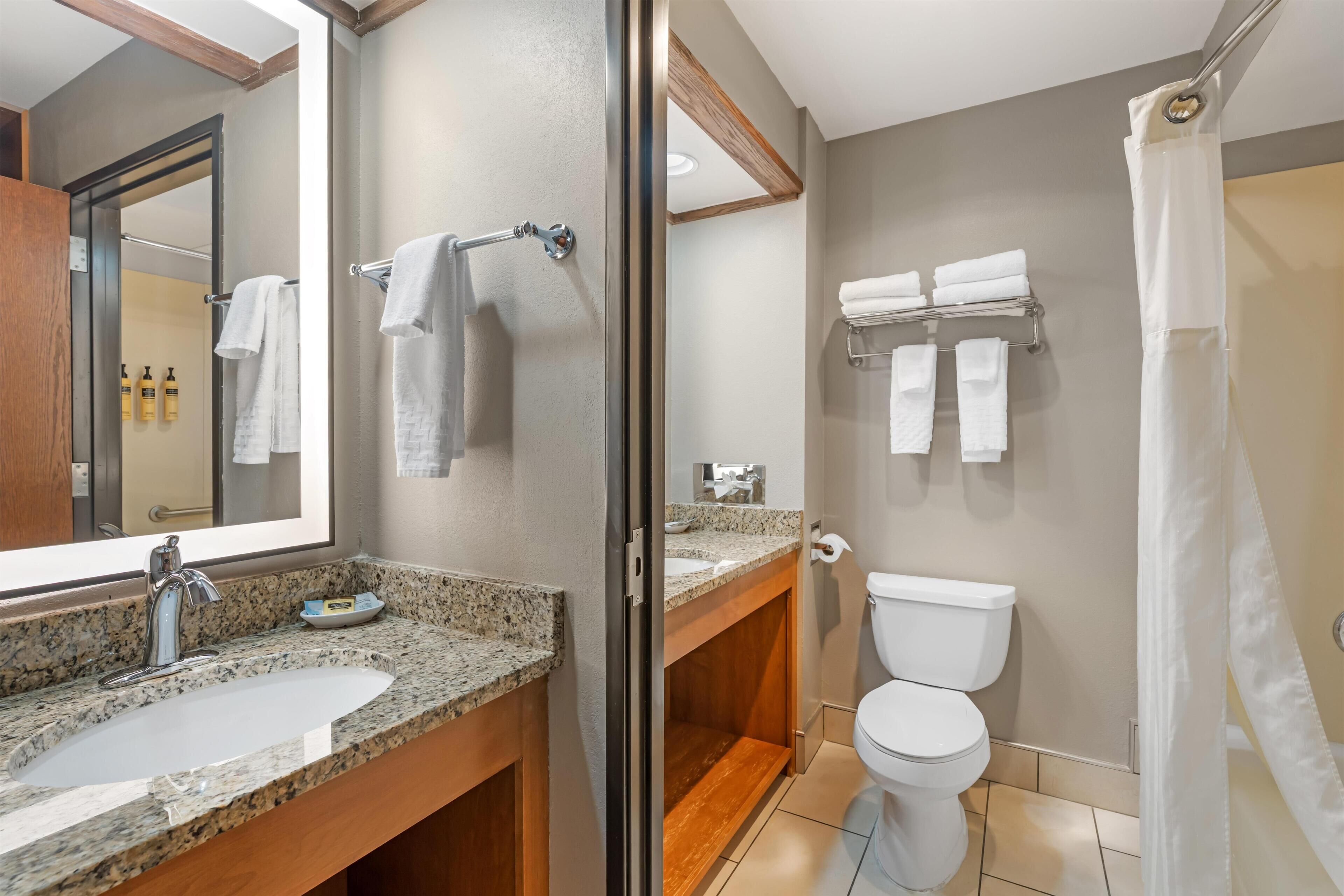 A bathroom with a granite countertop sink, a mirror, a toilet, and a shower curtain.