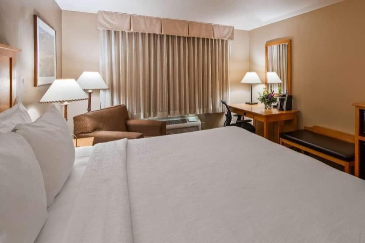 A hotel room with a large bed, a desk, a chair, a television, and a microwave.