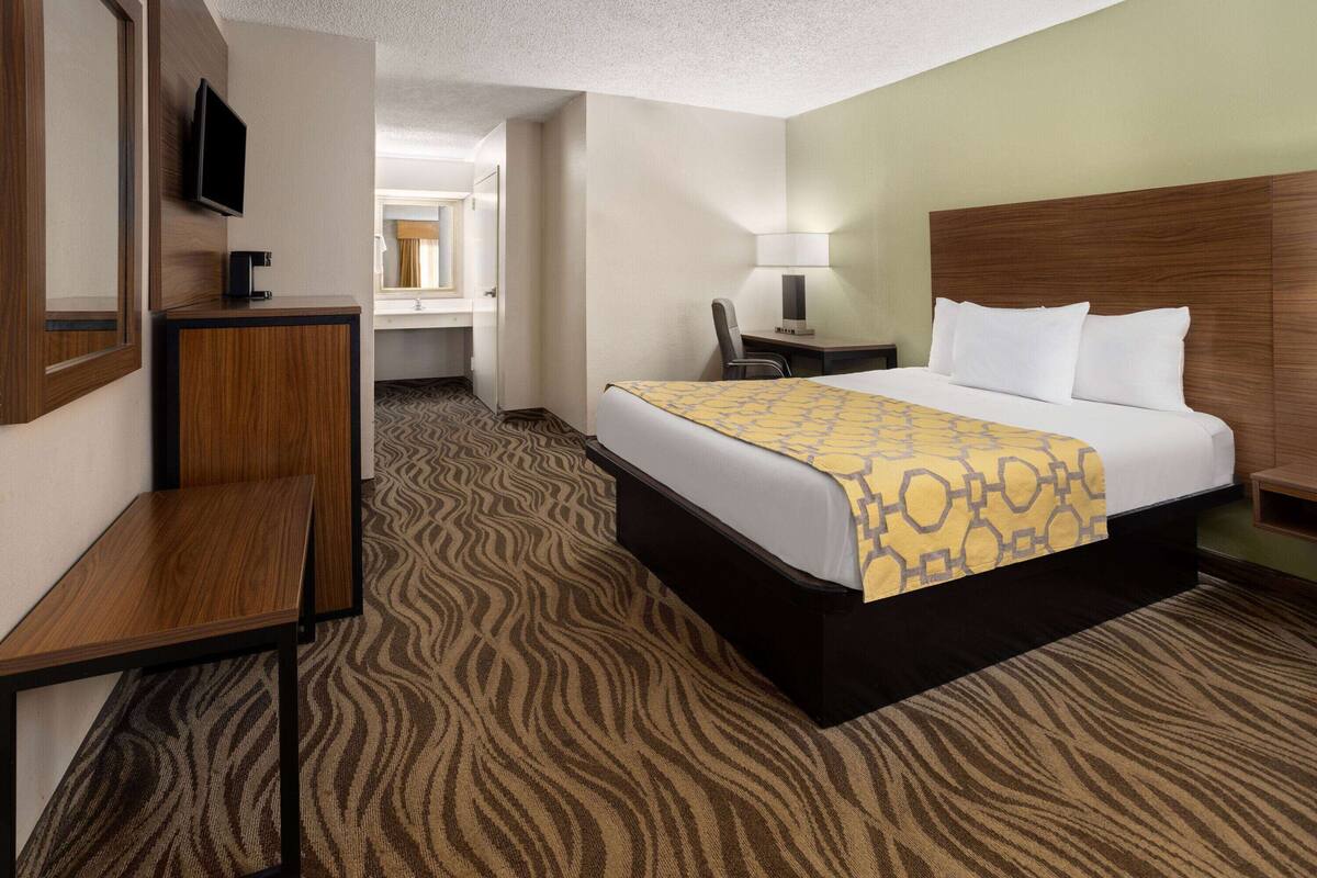 A hotel room with a bed, a desk, a chair, a TV, and a lamp.