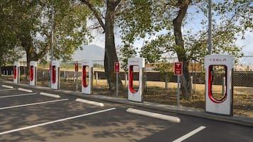 A row of Tesla electric vehicle charging stations along a road with trees and a fence in the background.