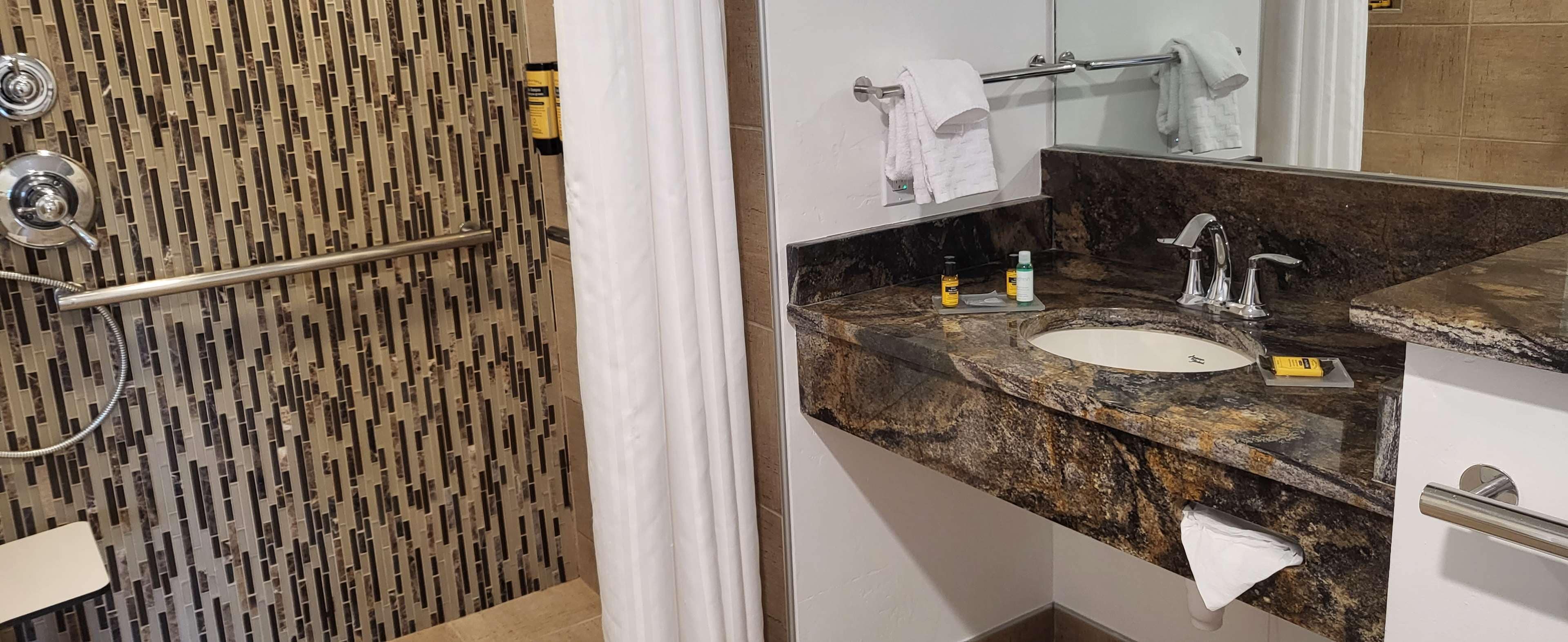 standard room, 1 king bed, accessible, non smoking | accessible bathroom