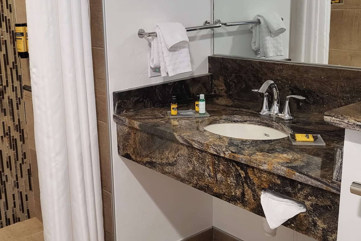 standard room, 1 king bed, accessible, non smoking | accessible bathroom