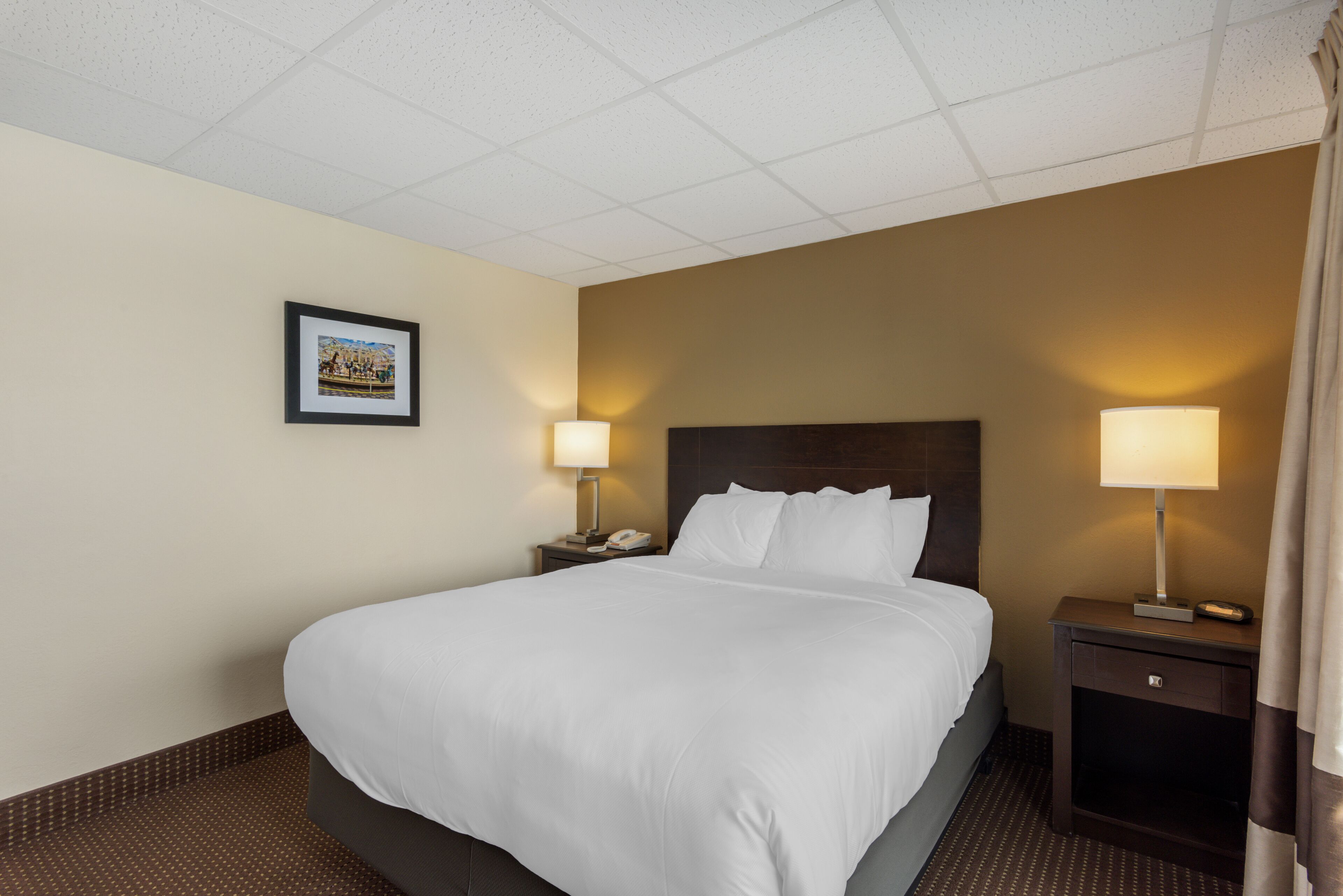 A hotel room with a large bed, two bedside tables with lamps, a framed picture on the wall, and a carpeted floor.