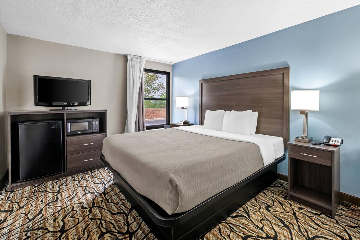 A hotel room with a bed, a TV, a microwave, a refrigerator, a nightstand, and a lamp.