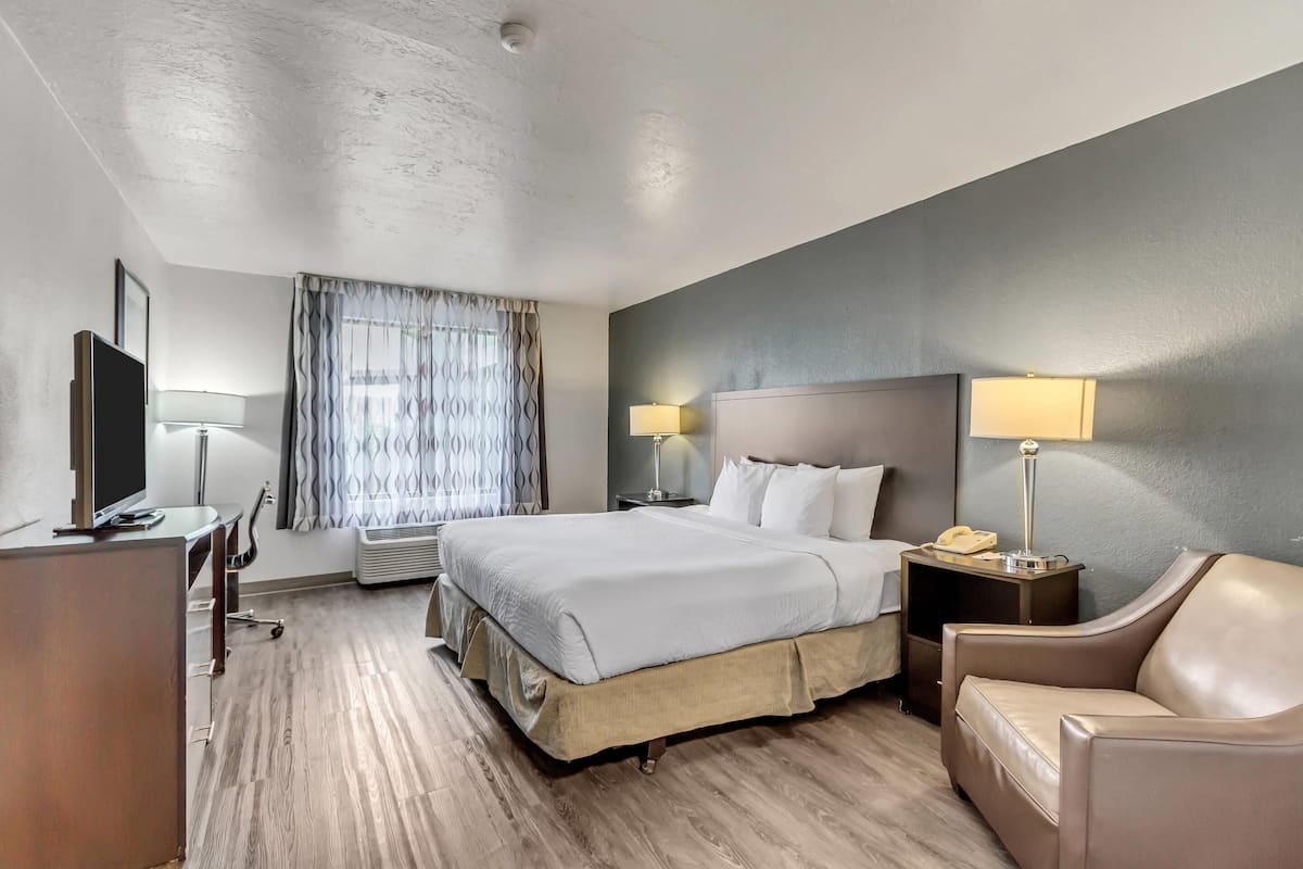 Standard Room, 1 King Bed, Non Smoking | 1 bedroom, Egyptian cotton sheets, premium bedding, down comforters