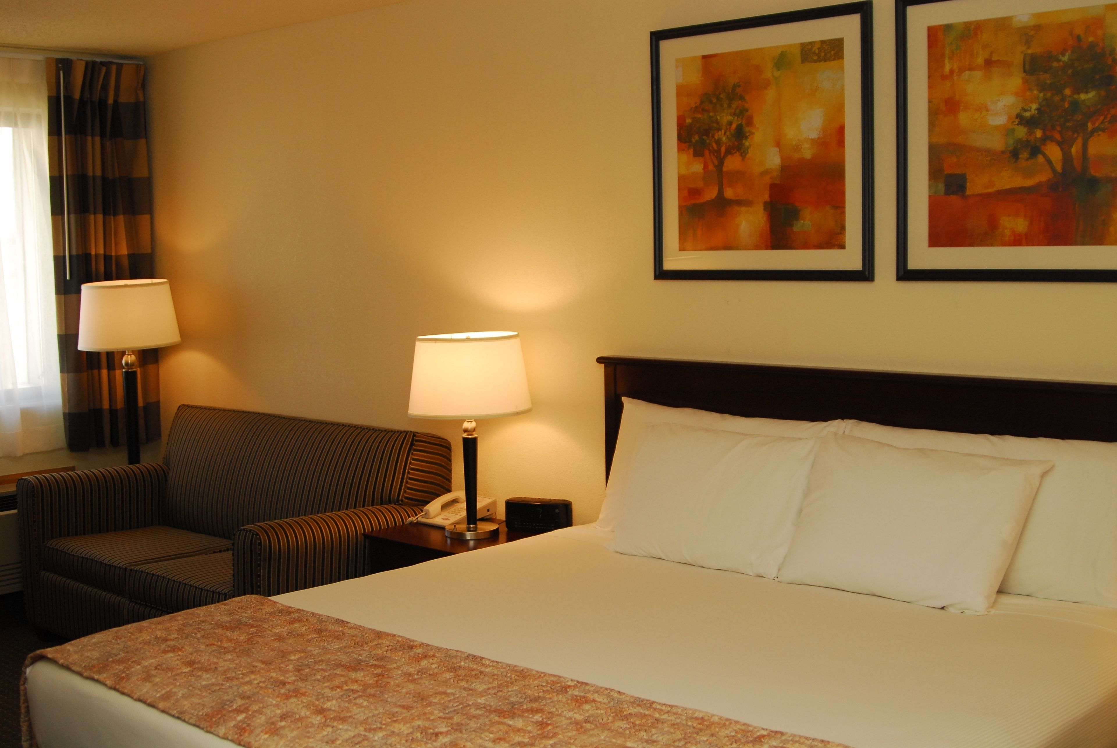 A hotel room with a bed, two bedside lamps, a sofa, and two framed paintings on the wall.