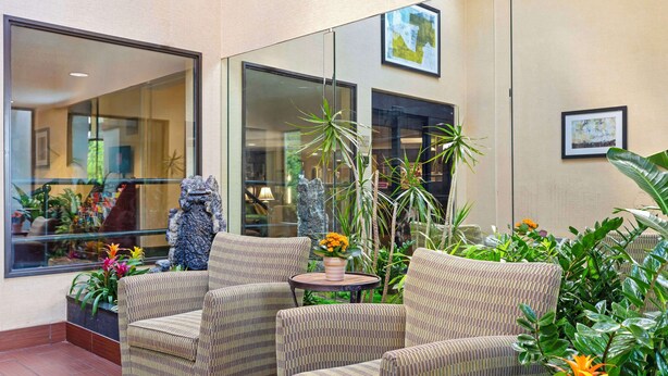 Un espace aménagé avec des fauteuils en osier et une petite table, entouré de différentes plantes et fleurs.