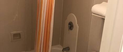 Une salle de bain avec une baignoire, des toilettes et un rideau de douche.