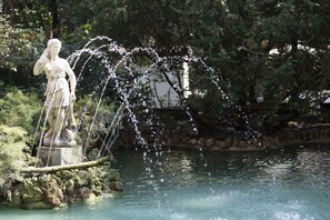 Fuente