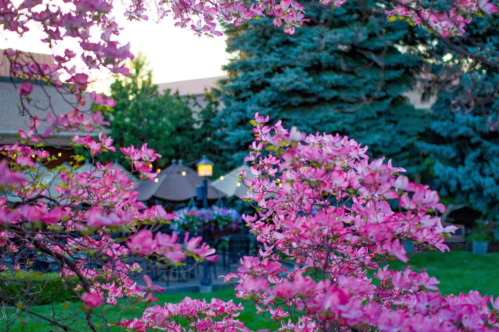 luxury hotels in Spokane