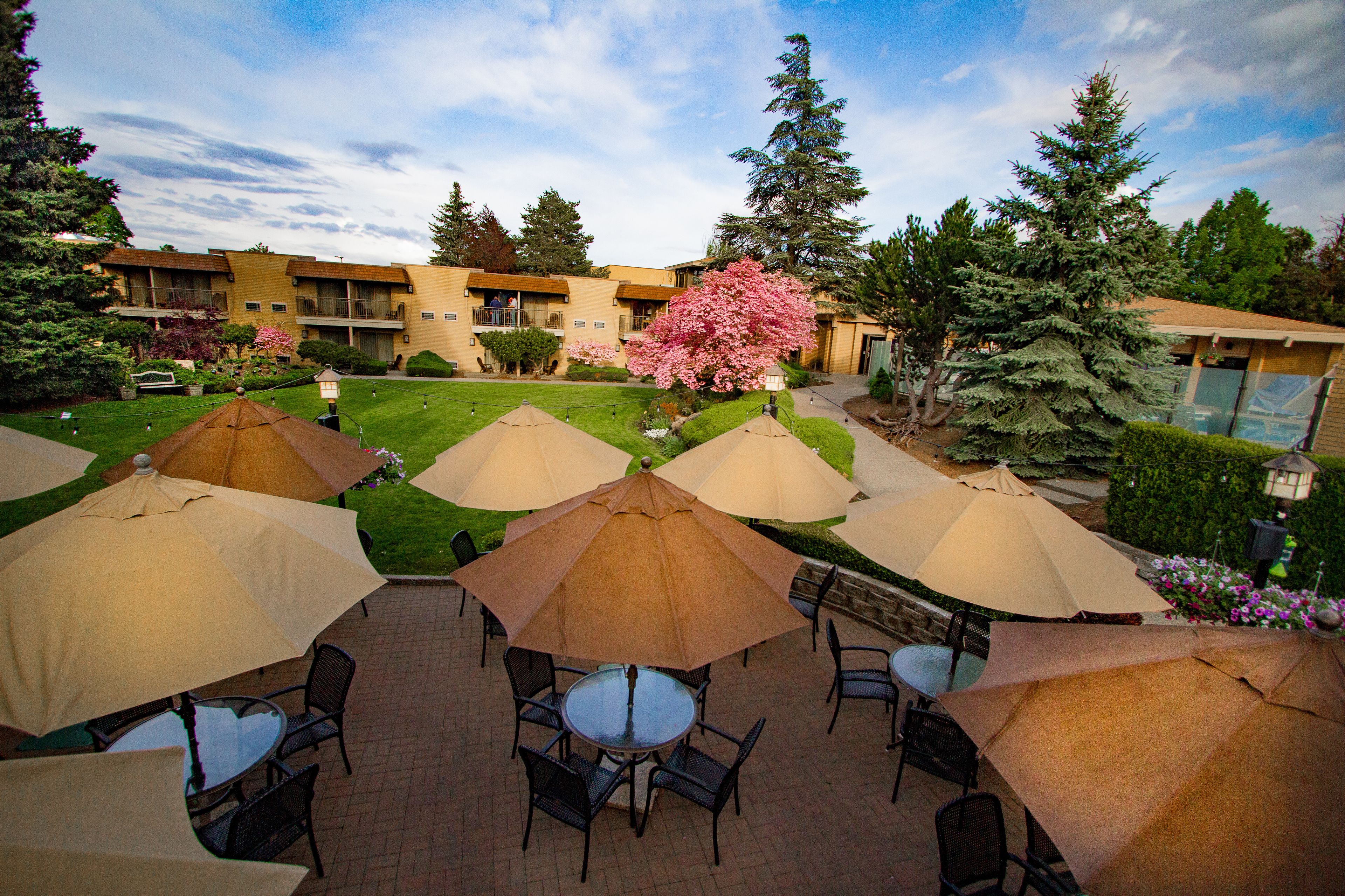 An outdoor patio area with multiple round tables and chairs, surrounded by large umbrellas.
