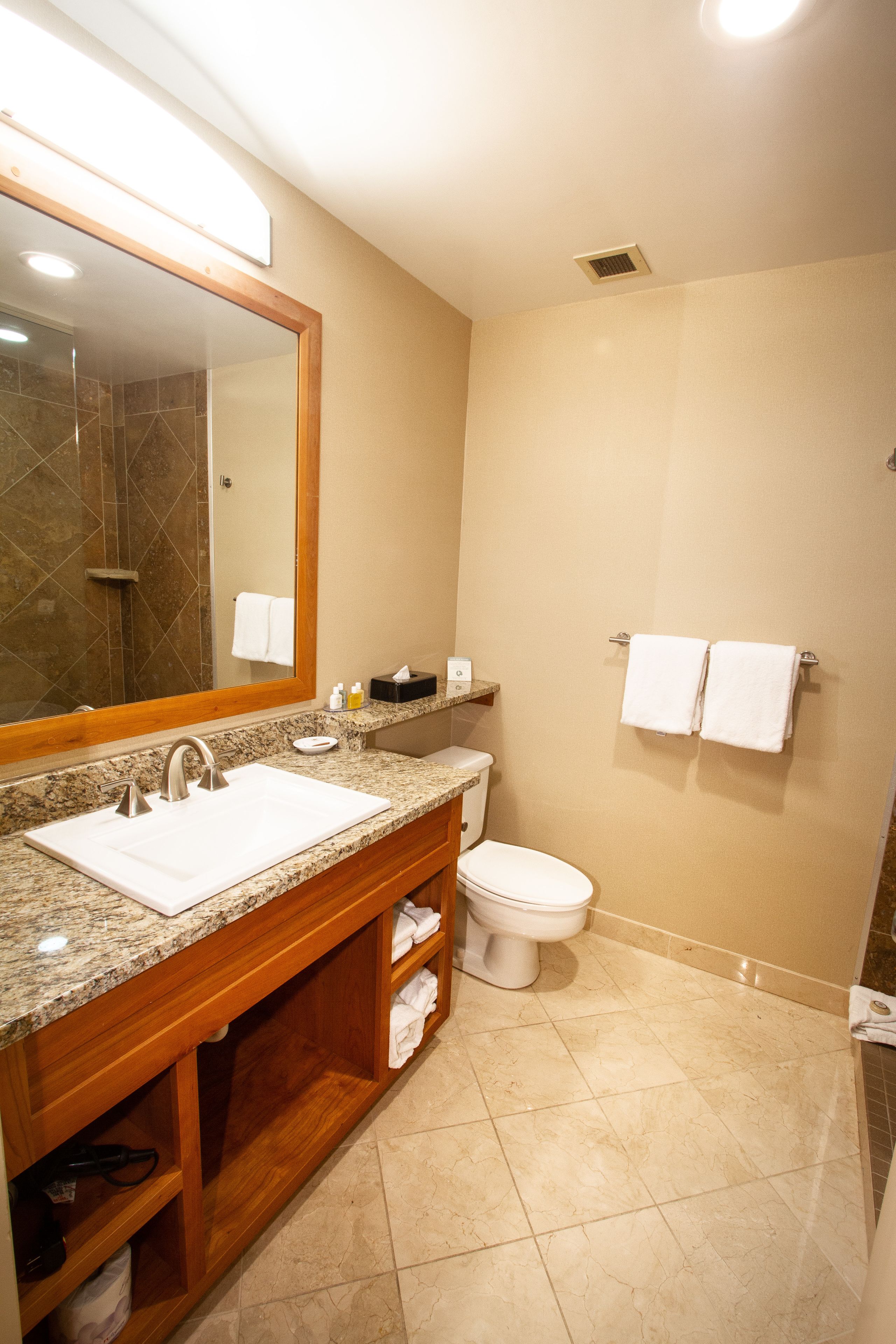 combined shower/bathtub, eco-friendly toiletries, hair dryer, bathrobes