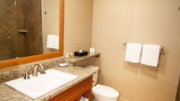 A bathroom with a double sink, a toilet, and a large mirror.