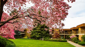 Enceinte de lâhĂ©bergement
