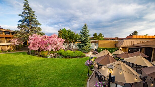A courtyard with a well-maintained lawn, outdoor seating area with umbrellas, and a variety of trees including a prominent flowering tree. - Mirabeau Park Hotel & Convention Center (Spokane Valley)