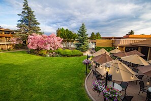 A courtyard with a well-maintained lawn, outdoor seating area with umbrellas, and a variety of trees including a prominent flowering tree. - Mirabeau Park Hotel & Convention Center (Spokane Valley)