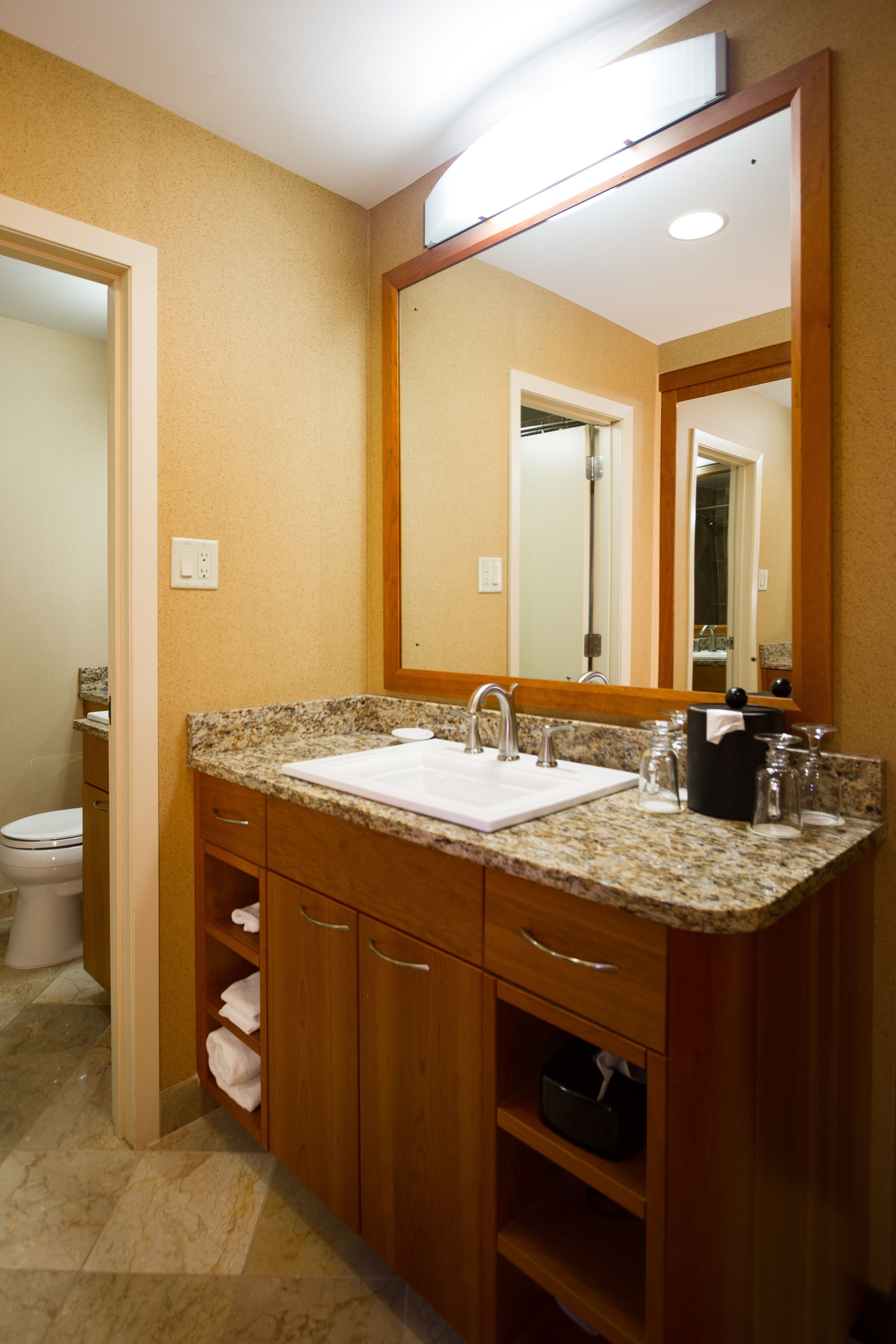 A bathroom with a granite countertop sink, wooden cabinets, a large mirror, and a toilet visible in the background.